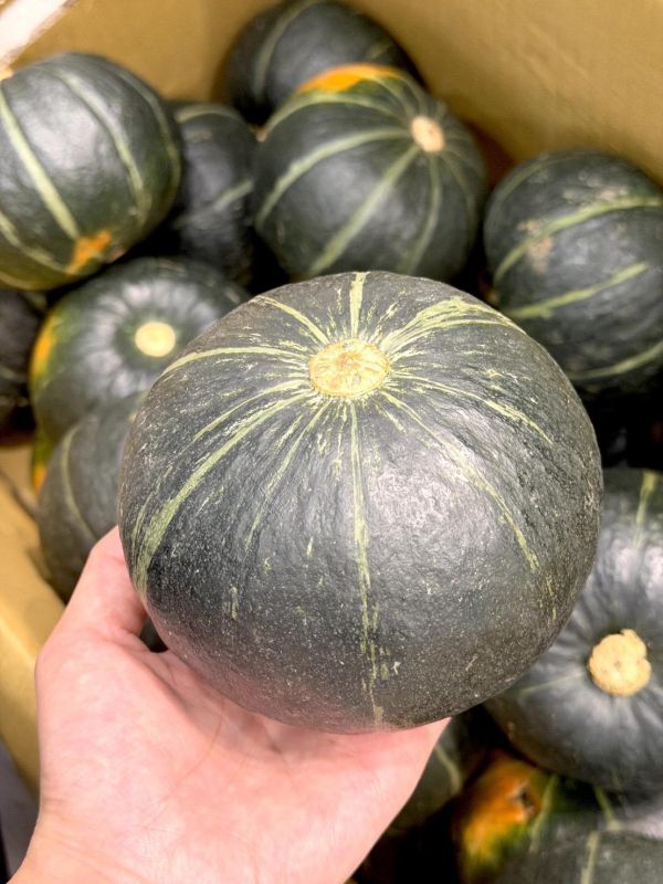 嚴選貝貝南瓜 貝貝南瓜,南瓜