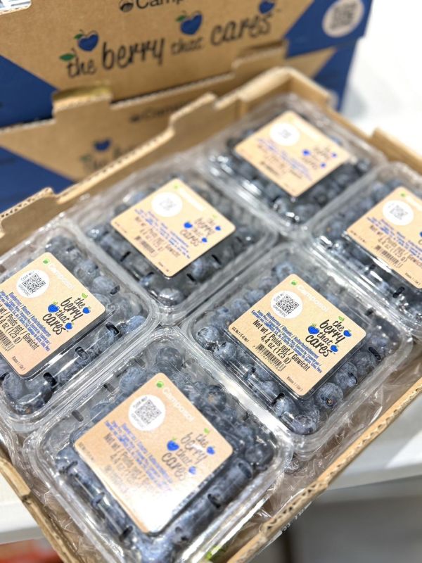 秘魯空運14mm+藍莓 藍莓,維生素C,青花素,抗氧化