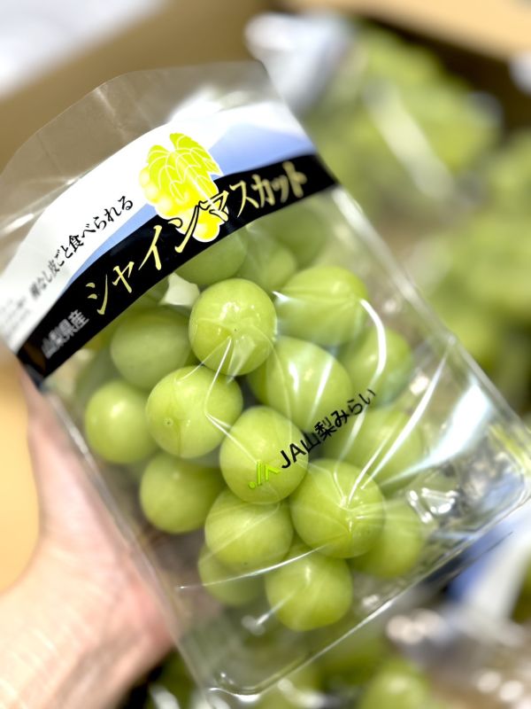 日本長野麝香葡萄 麝香葡萄,葡萄