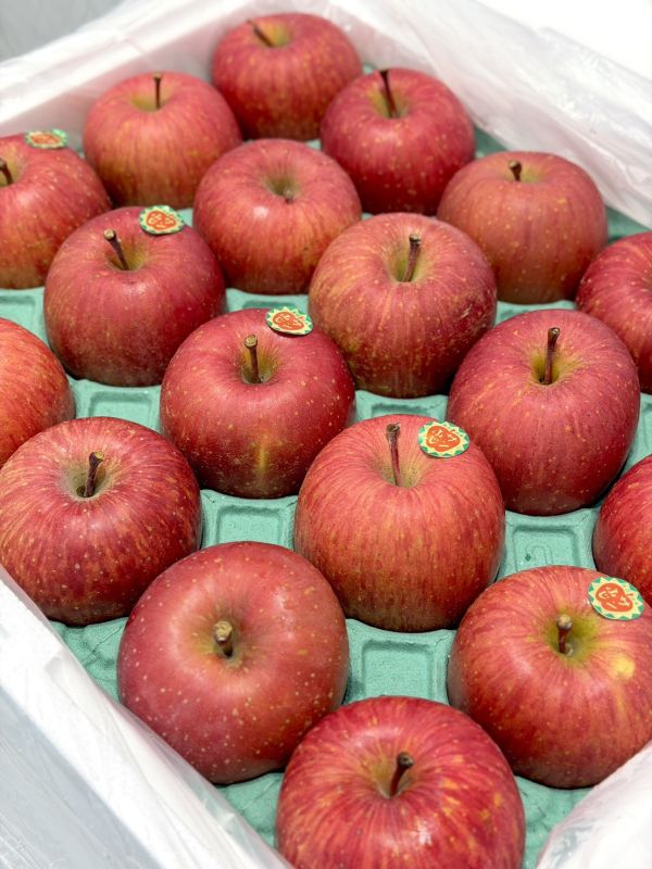 日本青森蜜富士蘋果 日本青森,青森蘋果,蜜富士,蘋果,蜜蘋果