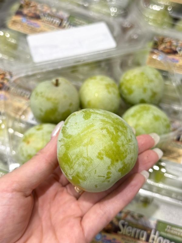 美國進口綠恐龍蛋 恐龍蛋