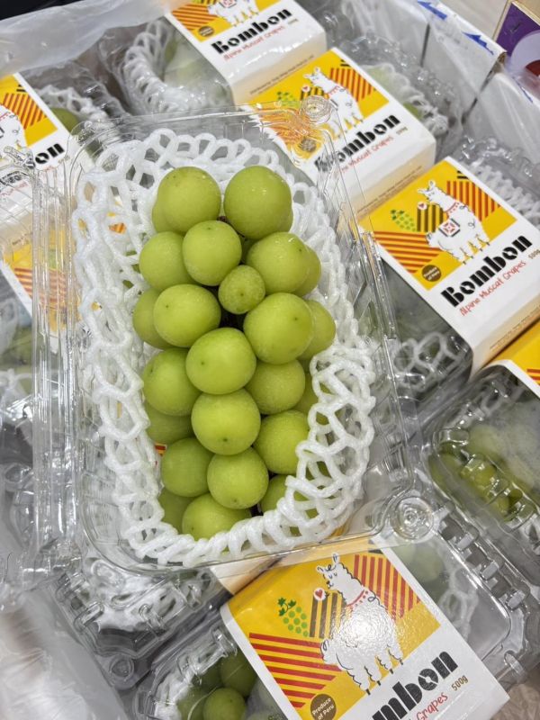 秘魯進口麝香葡萄 麝香葡萄,祕魯麝香,葡萄