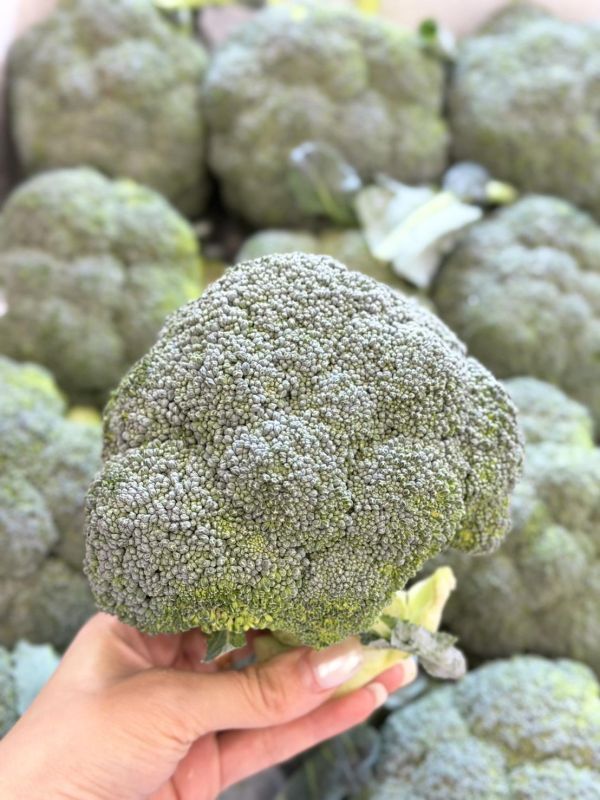 在地嚴選花椰菜 花椰菜