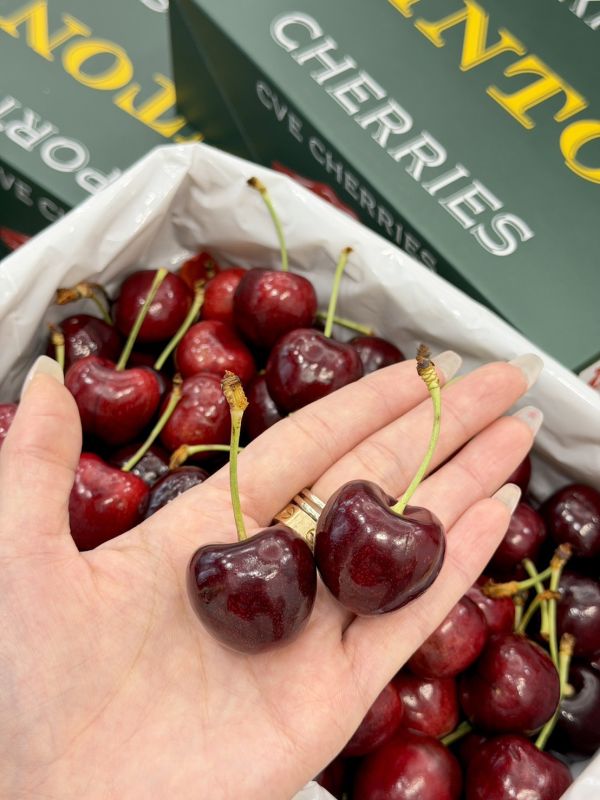 紐西蘭空運CVE大嘴巴櫻桃 CVE大嘴巴,櫻桃,大嘴巴櫻桃,CVE大嘴巴櫻桃,大嘴巴,紅唇