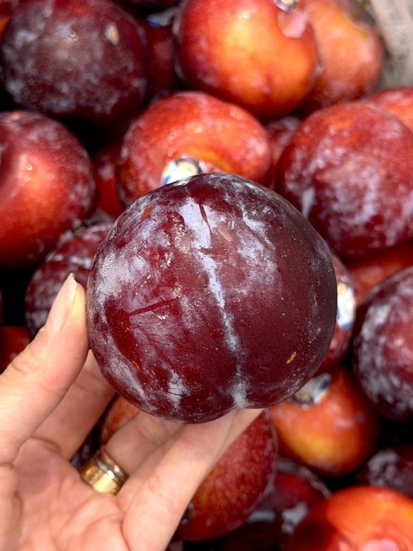 智利進口蘋果李子 蘋果李,李子,蜜李