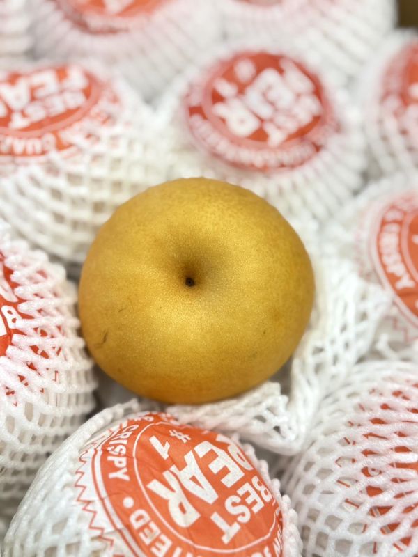 韓國進口大水梨 新高梨,韓國梨,金果梨,水梨,韓國水梨