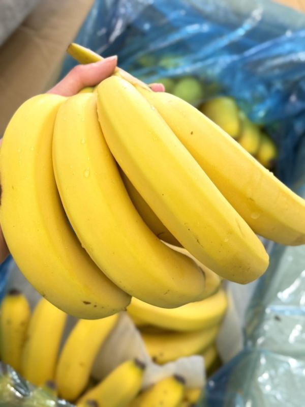 在地旗山蕉 香蕉,旗山蕉