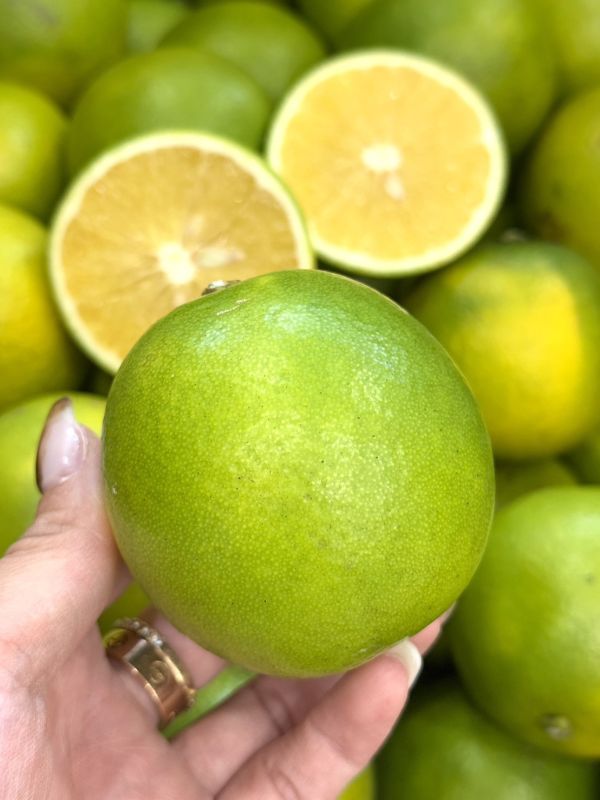 在地嚴選竹崎雞蛋丁 柳丁