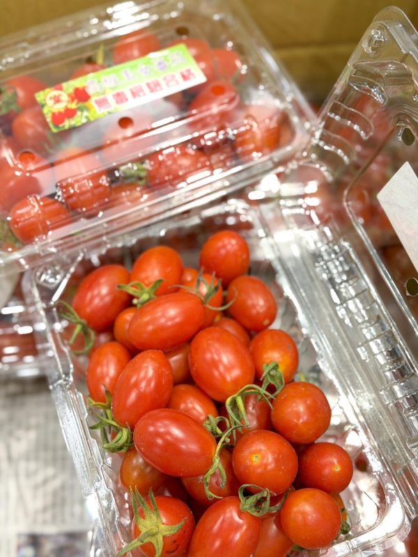 溫室玉女小蕃茄 小蕃茄,蕃茄,玉女小蕃茄,溫室蕃茄,溫室小蕃茄,玉女蕃茄