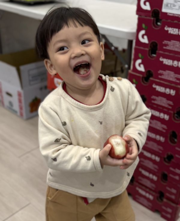 在地嚴選林邊蓮霧 蓮霧