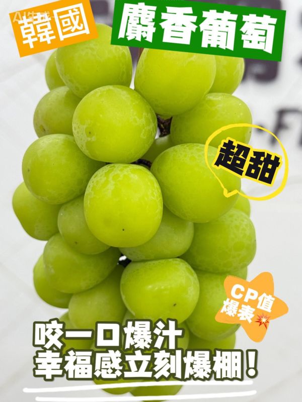 韓國閃耀麝香葡萄 麝香葡萄