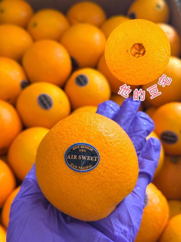 美國進口無籽肚臍丁 美國肚臍丁,無籽肚臍丁,肚臍丁,美國無籽肚臍丁