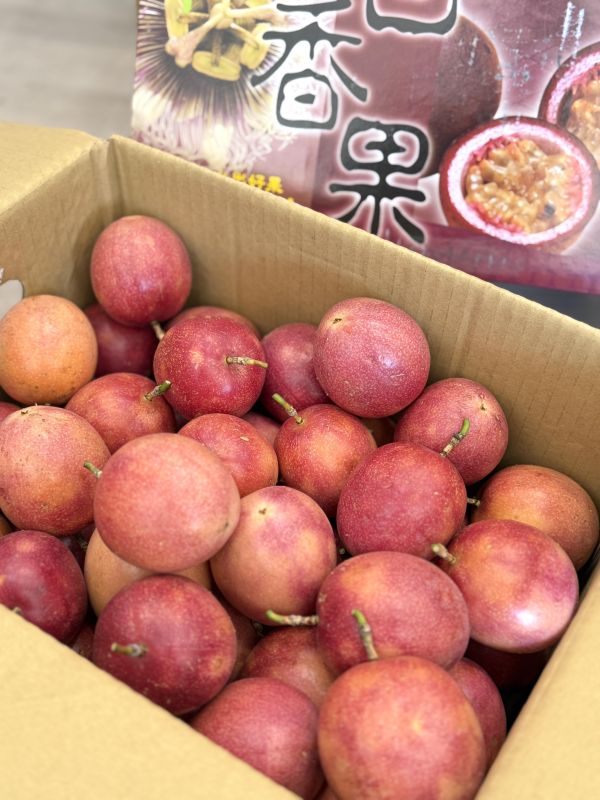 藍星蜜糖百香果 藍星百香果,百香果