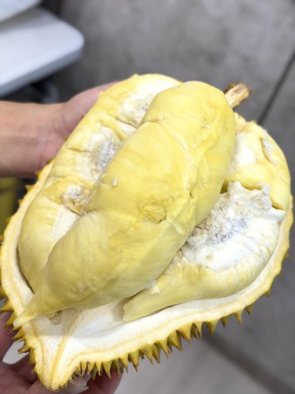 金枕頭榴槤 越南甘堯榴槤,榴槤,甘堯榴槤,甘堯,泰國榴槤,泰國金枕頭,金枕頭,金枕頭榴槤