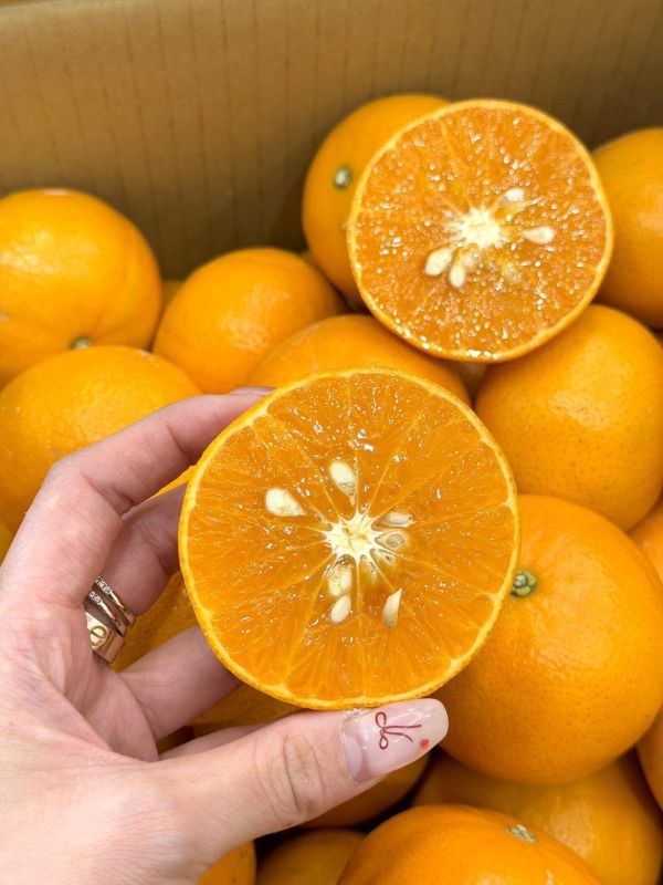 嚴選在地黃金茂谷 橘子,茂谷,黃金茂谷