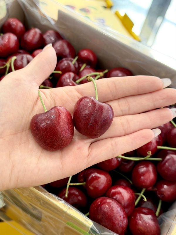 智利進口2JD櫻桃 櫻桃,2JD,智利櫻桃