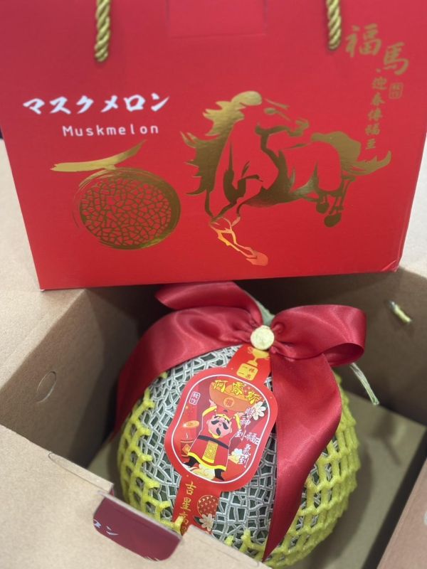 頂級阿露斯哈密瓜 阿露斯哈密瓜,阿露斯,哈密瓜