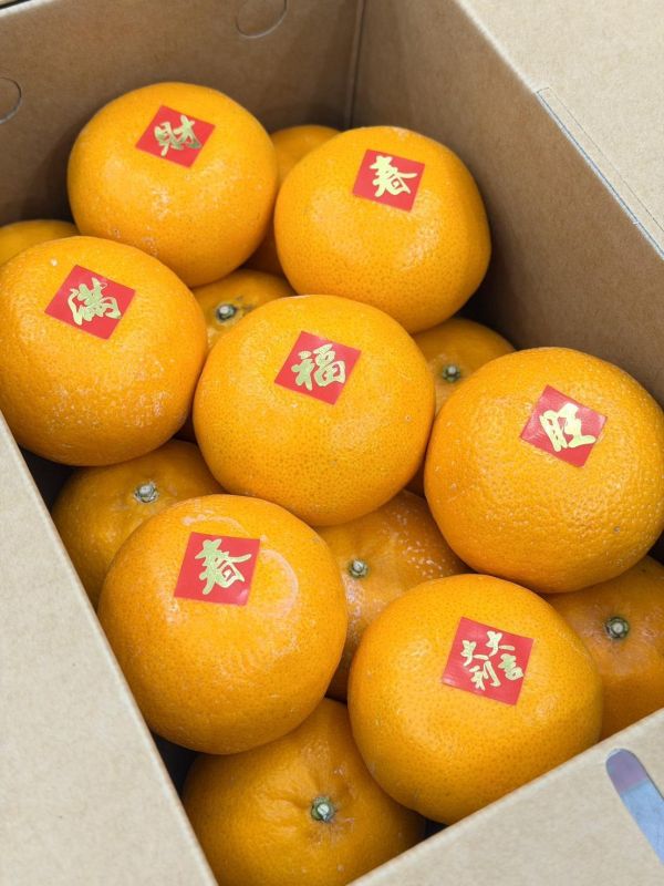 嚴選在地黃金茂谷 橘子,茂谷,黃金茂谷