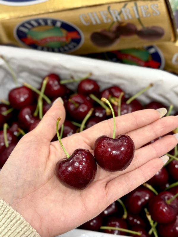 澳洲空運頂級塔斯馬尼亞 澳洲,澳洲櫻桃,櫻桃,漢森農場,塔斯馬尼亞,Hansen,塔斯馬尼亞櫻桃