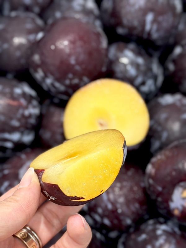 智利進口黑李 智利進口黑李,黑李,李子