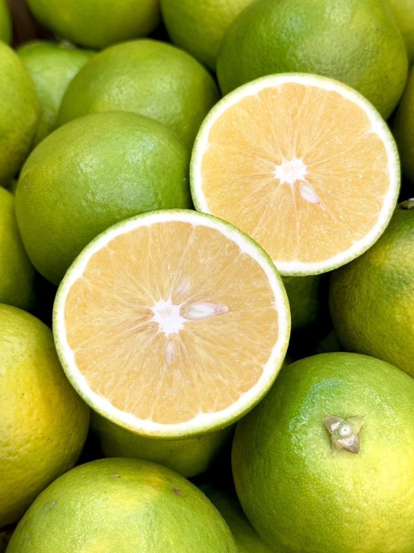 在地嚴選竹崎雞蛋丁 柳丁