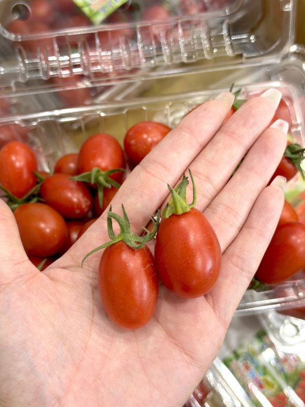 溫室玉女小蕃茄 小蕃茄,蕃茄,玉女小蕃茄,溫室蕃茄,溫室小蕃茄,玉女蕃茄