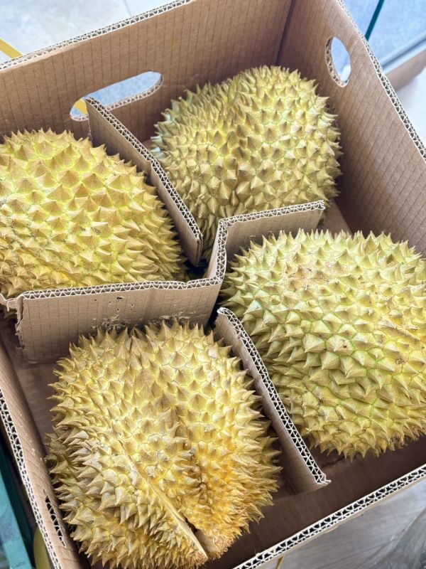 越南「項」金枕頭 金枕頭,榴槤