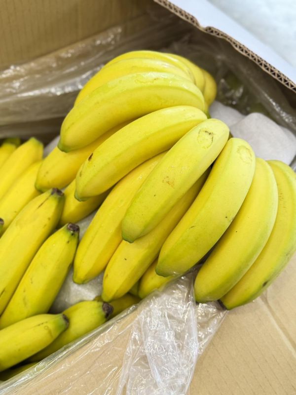 在地旗山蕉 香蕉,旗山蕉