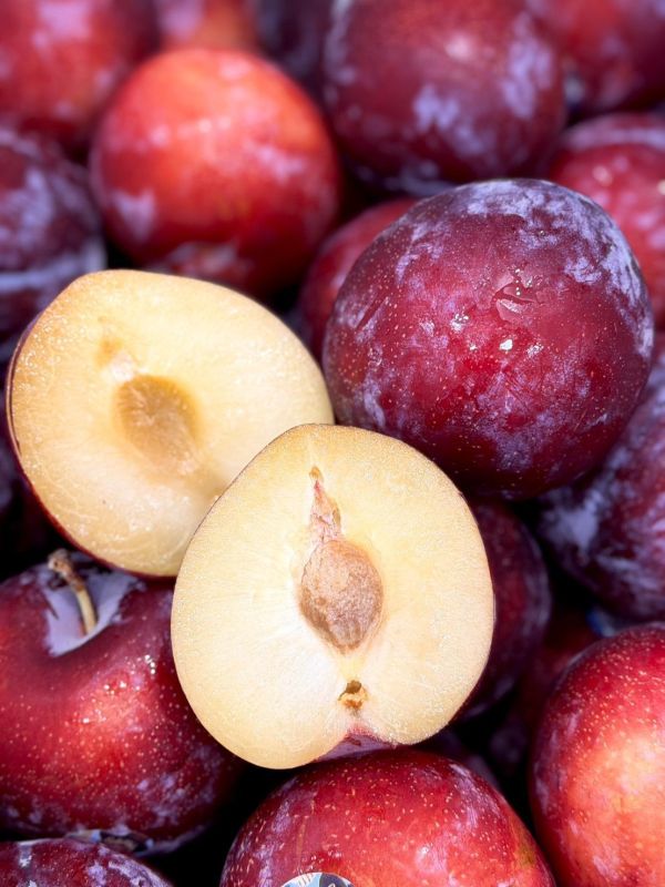 智利進口蘋果李子 蘋果李,李子,蜜李