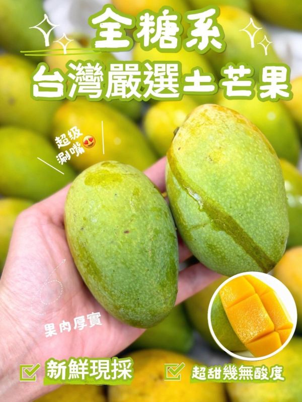 在地嚴選土芒果 芒果,土芒果