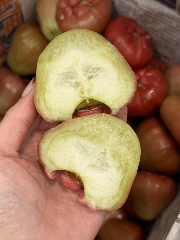 在地嚴選林邊蓮霧 蓮霧