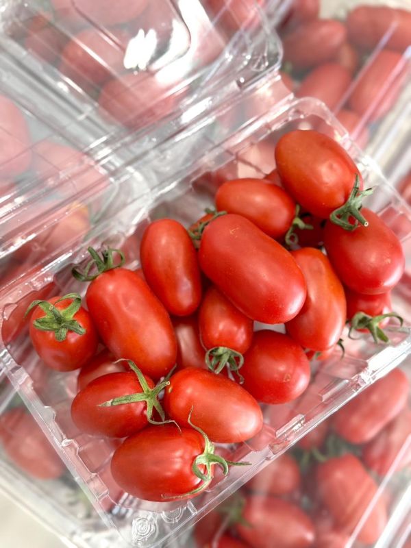 在地聖女蕃茄 聖女蕃茄,番茄