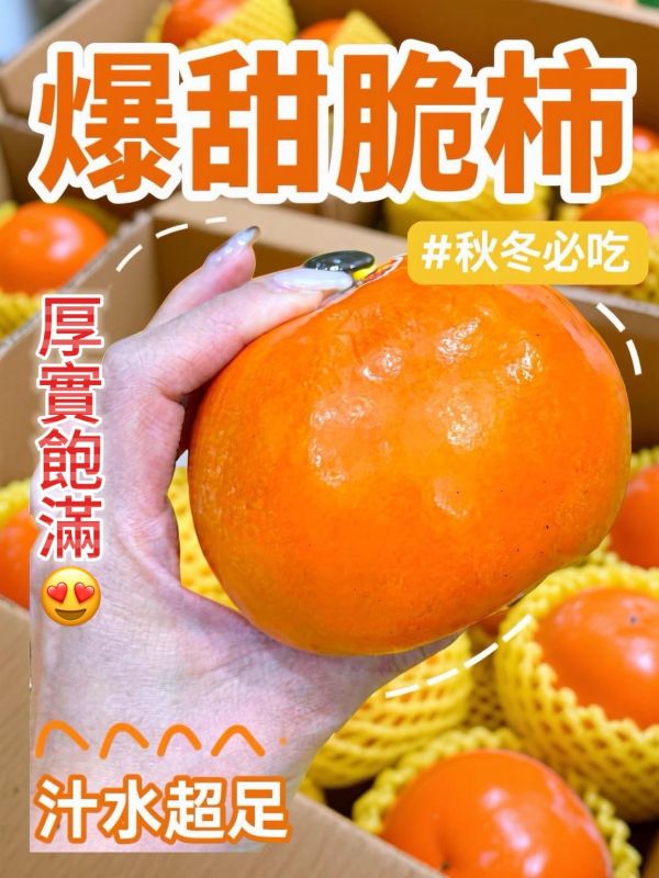 梨山高山高海拔8A甜柿 梨山,高山,高海拔,甜柿