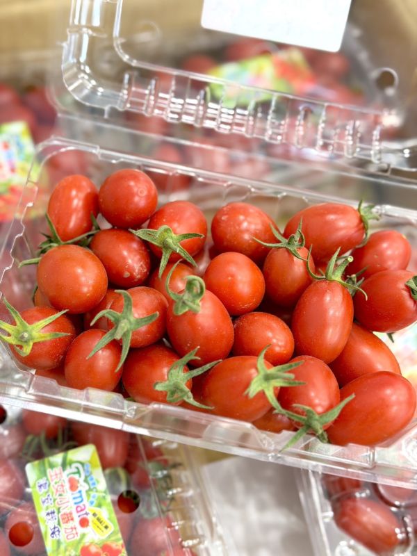 溫室玉女小蕃茄 小蕃茄,蕃茄,玉女小蕃茄,溫室蕃茄,溫室小蕃茄,玉女蕃茄