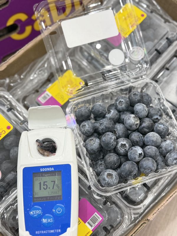 秘魯空運14mm+藍莓 藍莓,維生素C,青花素,抗氧化