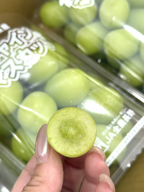 日本長野麝香葡萄 麝香葡萄,葡萄
