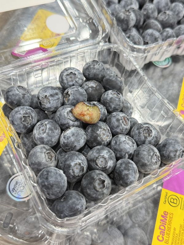 秘魯空運14mm+藍莓 藍莓,維生素C,青花素,抗氧化