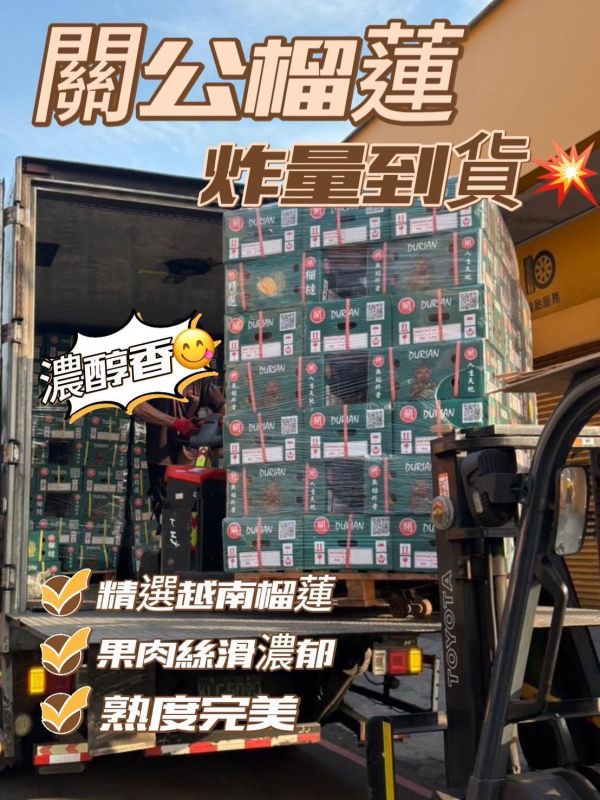 越南甘堯榴槤 越南榴槤,甘堯,榴槤,甘堯榴槤,關公