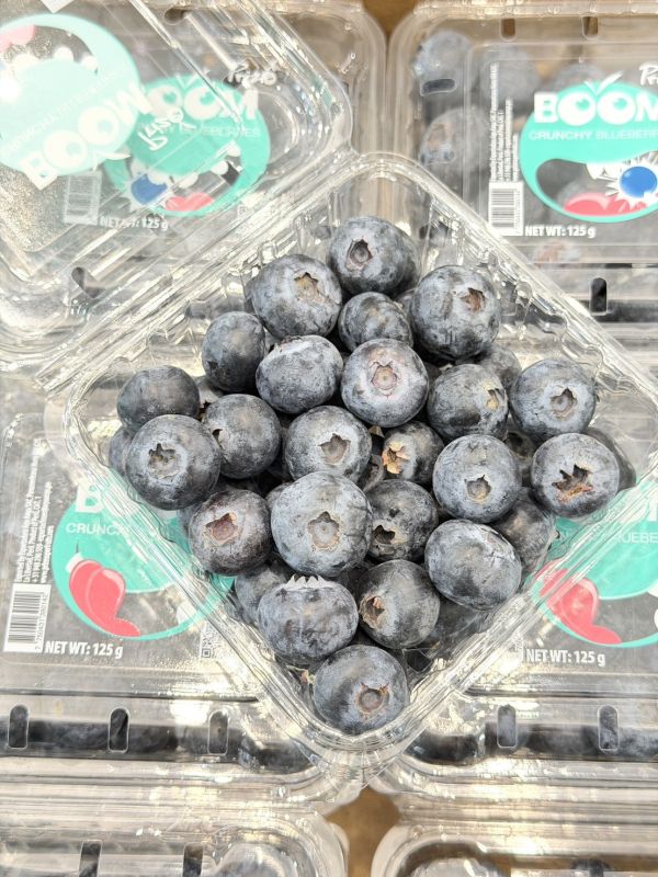 秘魯空運14mm+藍莓 藍莓,維生素C,青花素,抗氧化