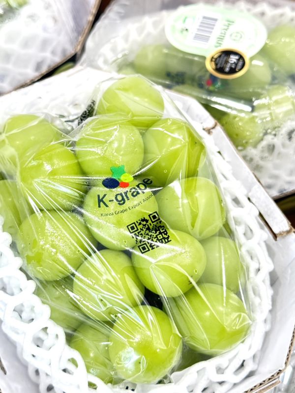 韓國閃耀麝香葡萄 麝香葡萄