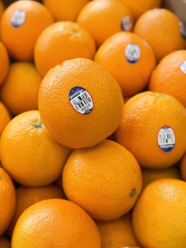 美國進口無籽肚臍丁 美國肚臍丁,無籽肚臍丁,肚臍丁,美國無籽肚臍丁