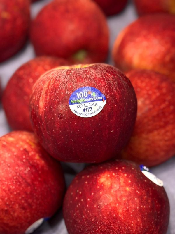 紐西蘭GALA小蘋果 紐西蘭蘋果,蘋果,脆蘋果,GALA蘋果