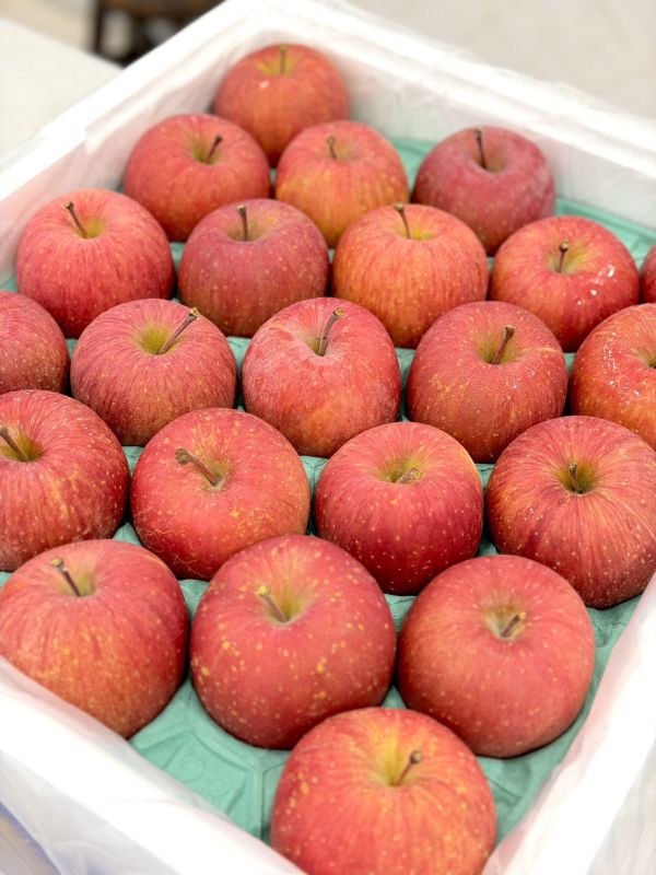 日本青森蜜富士蘋果 青森蜜蘋果,富士蘋果,蜜蘋果