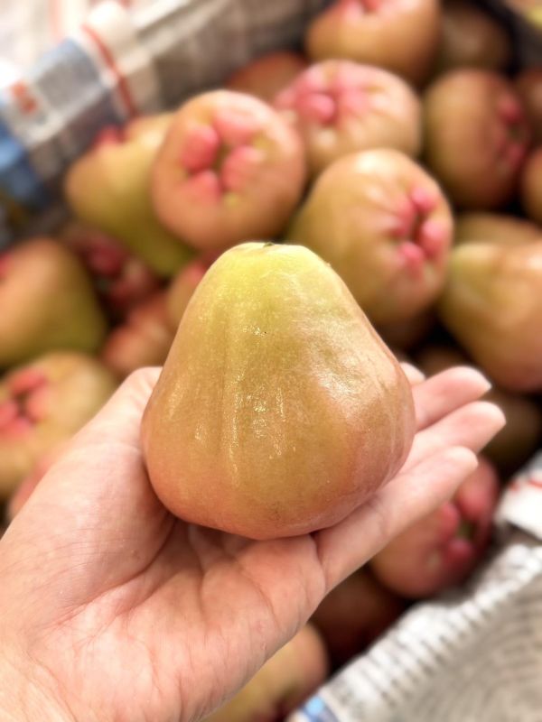 屏東傳統蓮霧 蓮霧,鹽水蓮霧