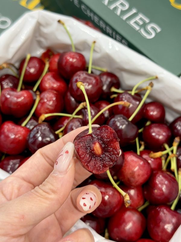 紐西蘭空運CVE大嘴巴櫻桃 CVE大嘴巴,櫻桃,大嘴巴櫻桃,CVE大嘴巴櫻桃,大嘴巴,紅唇