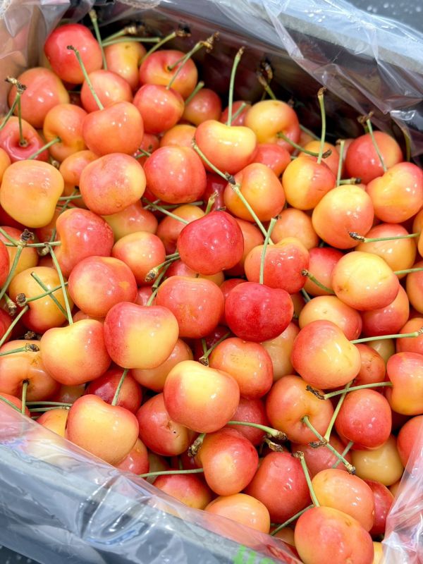 智利空運GOLD大白櫻桃 GOLD白櫻桃