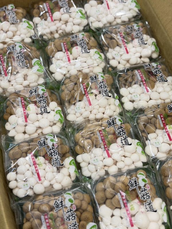 鮮菇道雙享菇 雙享菇,菇菇
