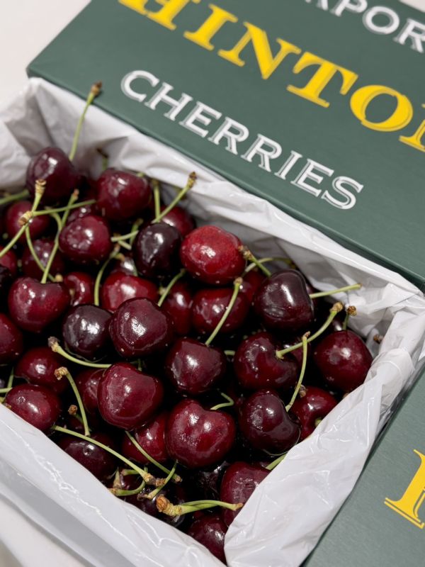 紐西蘭空運CVE大嘴巴櫻桃 CVE大嘴巴,櫻桃,大嘴巴櫻桃,CVE大嘴巴櫻桃,大嘴巴,紅唇