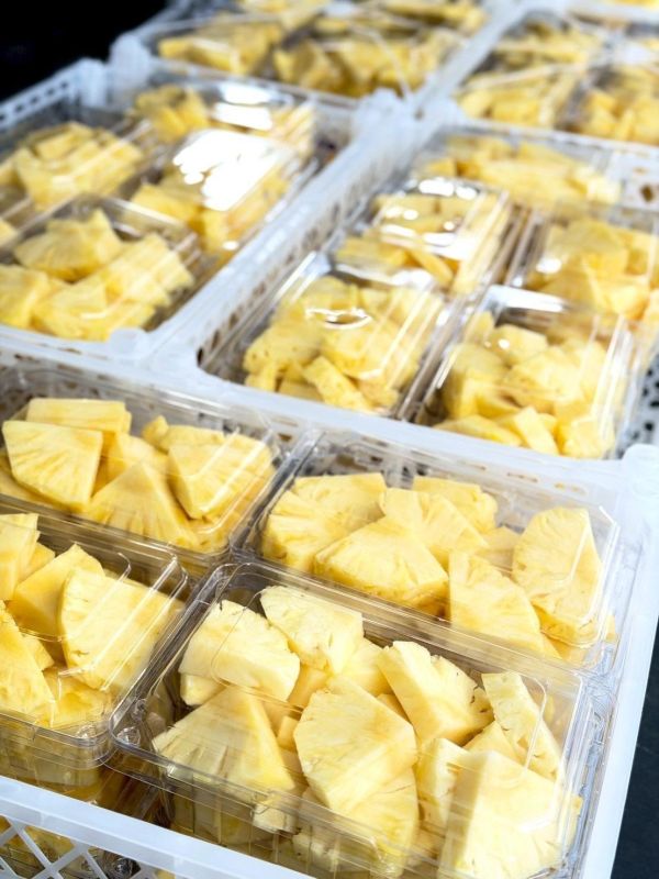 屏東大樹金鑽鳳梨 鳳梨,金鑽鳳梨