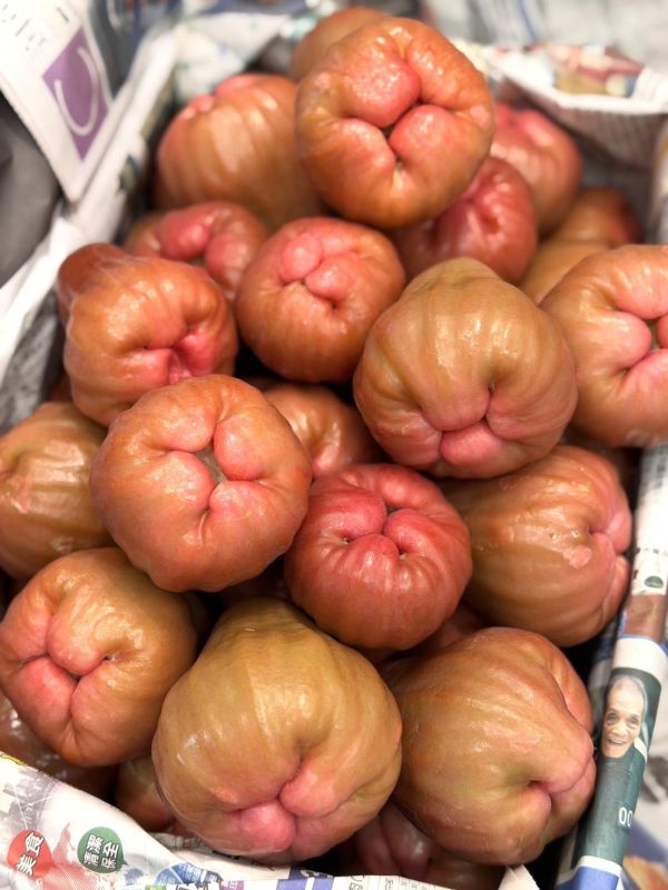 在地嚴選黑糖蓮霧 黑糖芭比,蓮霧